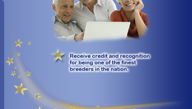Starbreeder_12.jpg, American Canine Association, Star Breeder, Program, aca star breeders, top dog, topdog, star breeder qualifications, Dog, breeder, pup, puppies, kennel, ACA, AKC, APR, breeding, litter 