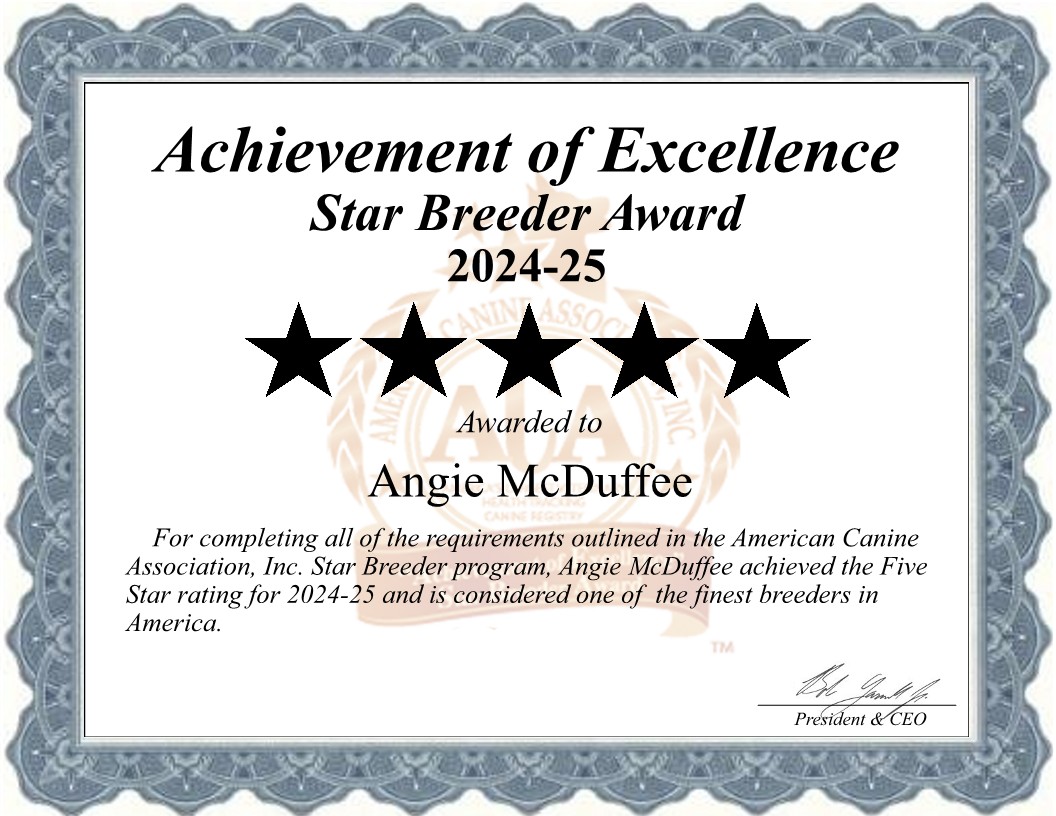 Angie, McDuffee, dog, breeder, star, certificate, Angie-McDuffee, Crushing, MN, Minnesota, puppy, dog, kennels, mill, puppymill, usda, 5-star, aca, ica, registered, Yorkie,  41-A-0484,  41A0484, none
