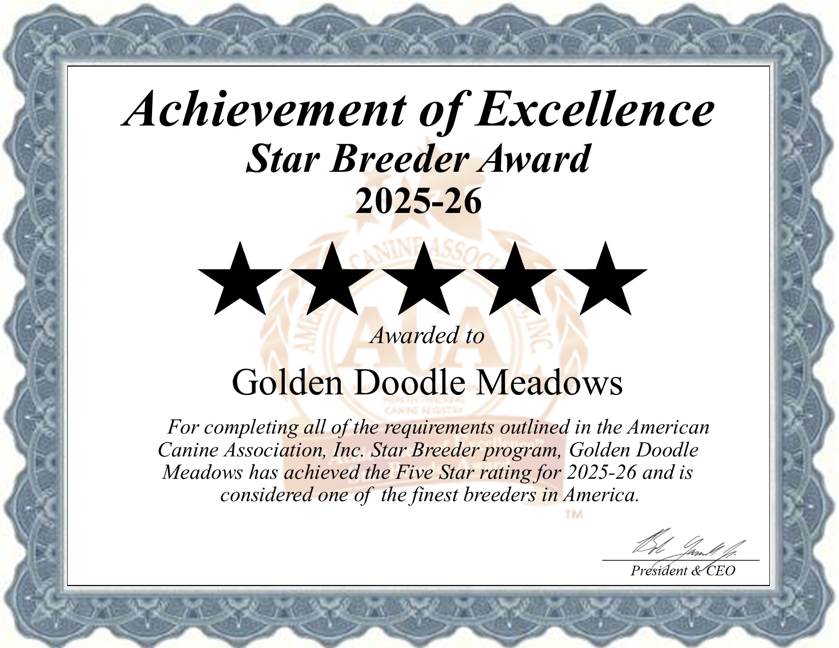 Golden Doodle, Meadows, dog, breeder, star, certificate, Golden Doodle-Meadows, Dundee, NY, New York, puppy, dog, kennels, mill, puppymill, usda, 5-star, aca, ica, registered, Goldendoodle