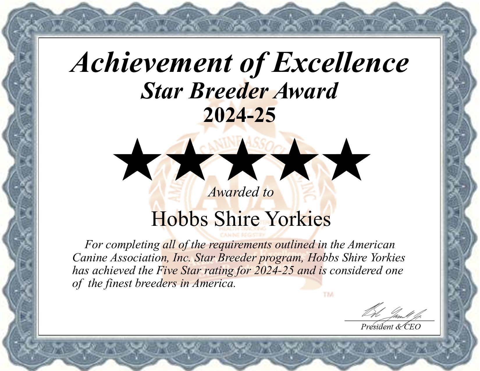 Hobbs Shire, Yorkies, dog, breeder, star, certificate, Hobbs Shire-Yorkies, Alburnett, IA, Iowa, puppy, dog, kennels, mill, puppymill, usda, 5-star, aca, ica, registered, Yorkshire Terrier