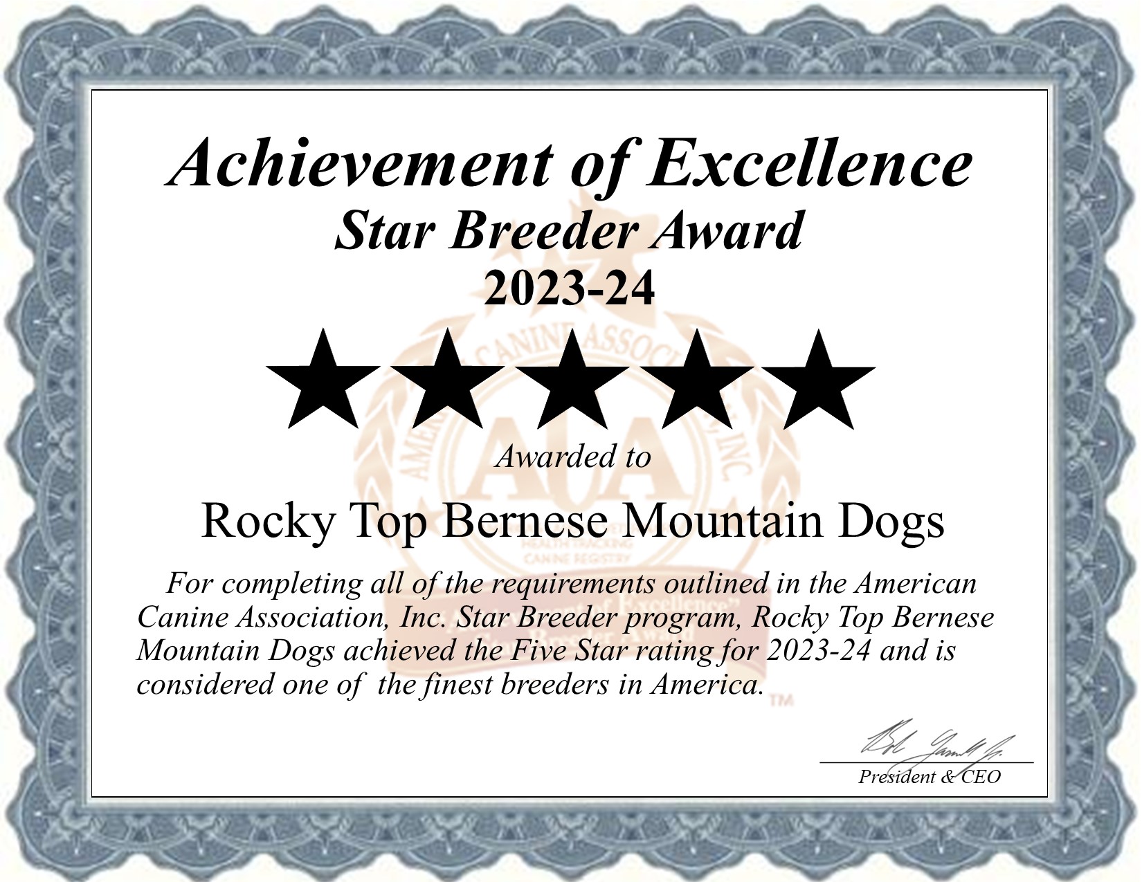 Levi, King, dog, breeder, star, certificate, Levi-King, Narvon, PA, Pennsylvania, puppy, dog, kennels, mill, puppymill, usda, 5-star, aca, ica, registered, Bernese Mountain Dog, pa-doglaw