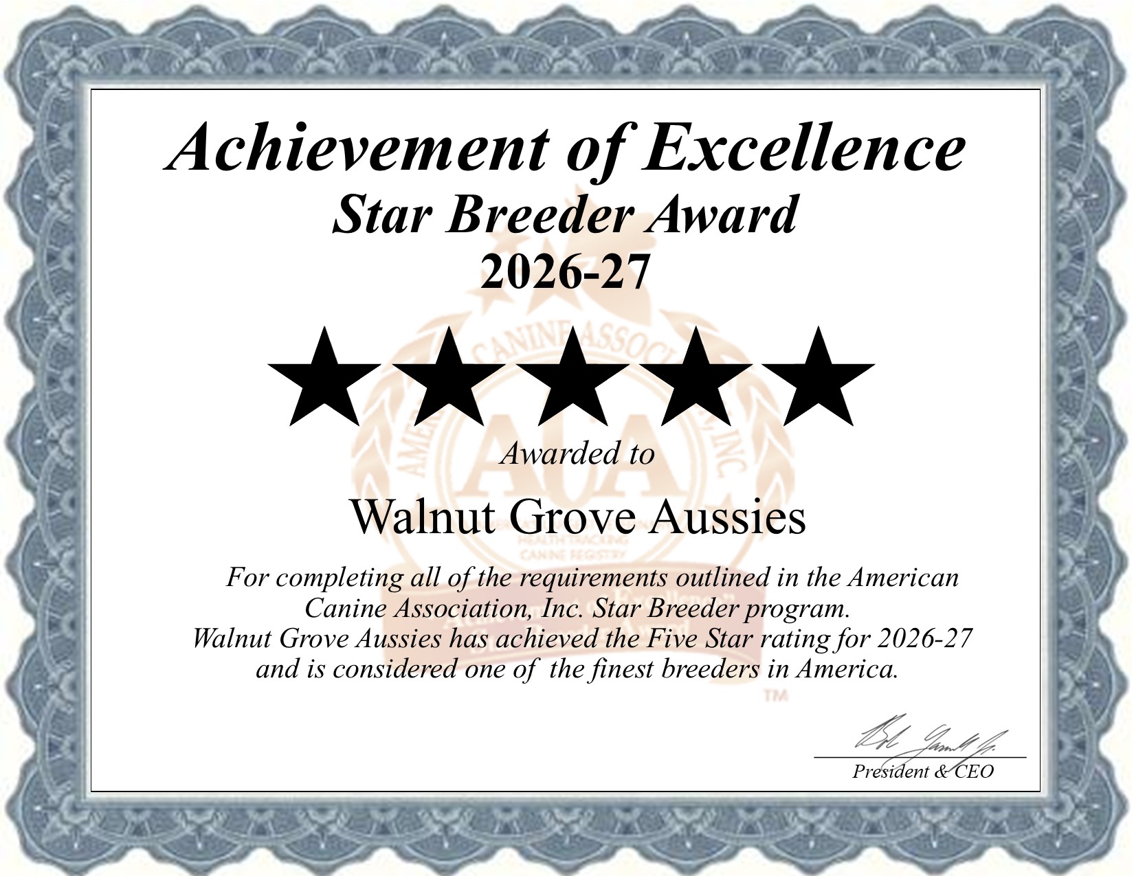 Walnut Grove, Aussies, dog, breeder, star, certificate, Walnut Grove-Aussies, Kirkwood, PA, Pennsylvania, puppy, dog, kennels, mill, puppymill, usda, 5-star, aca, ica, registered, Australian Shepherd